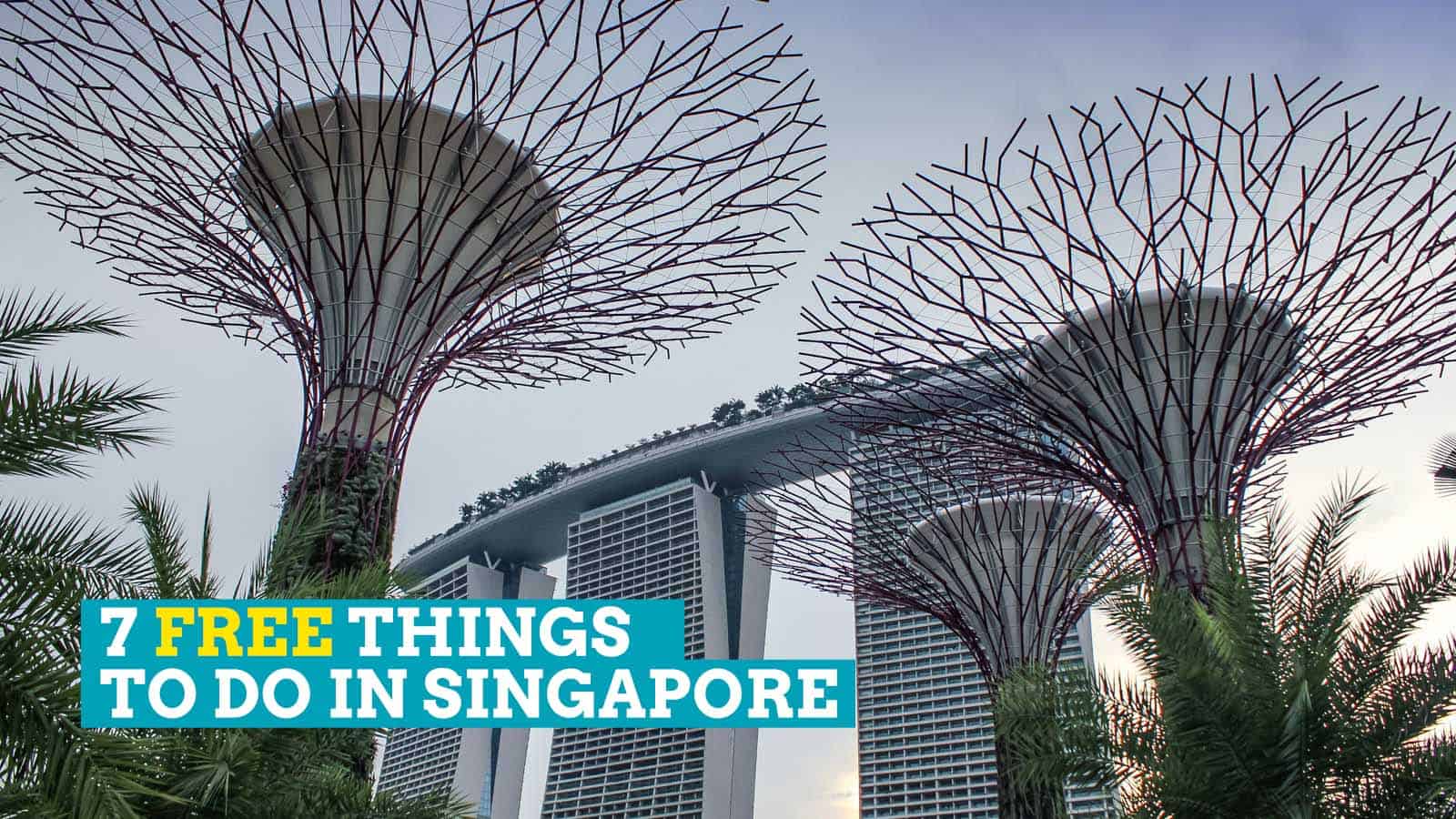 新加坡有7件事要做