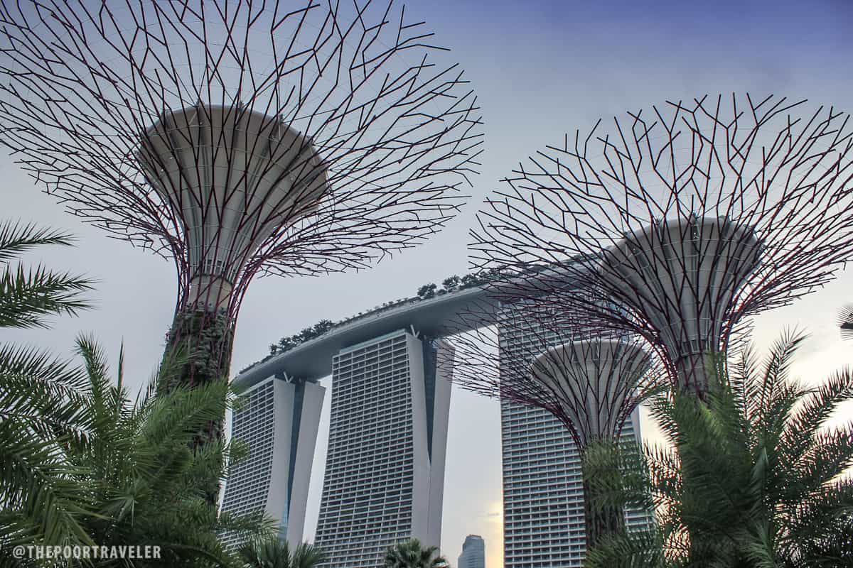 新加坡超级树