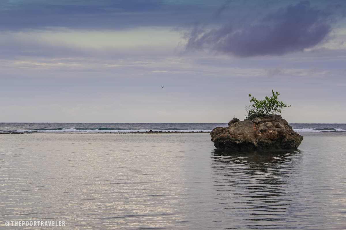 Cauayan的Danjugan岛，Negros Occidental