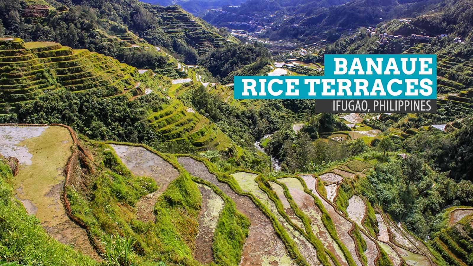 菲律宾伊富高的Banaue水稻梯田