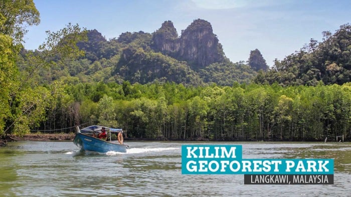 马来西亚兰卡威的Kilim地质森林公园:翱翔的灵魂