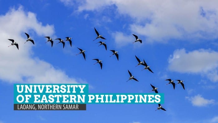 在菲律宾东部的鸟观察：萨马尔北部的老挝