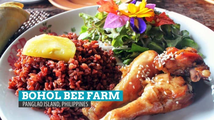 Bohol Bee Farm：Panglao Island的Bee-Bee-aut-autifl用餐体验