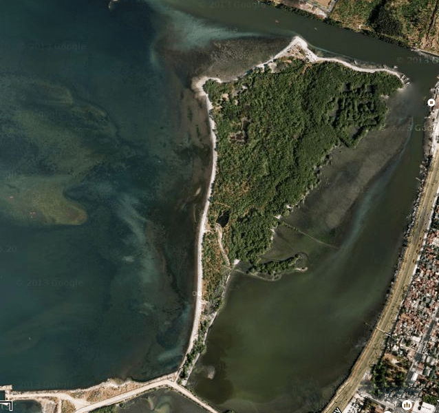 自由岛的卫星图像，由谷歌Maps提供