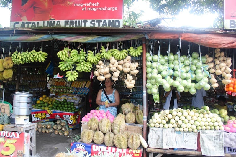 南科塔巴托Maharlika高速公路旁的水果摊