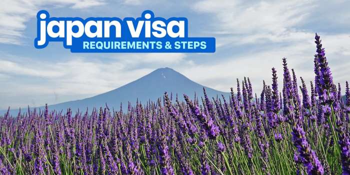 日本游客签证要求及申请