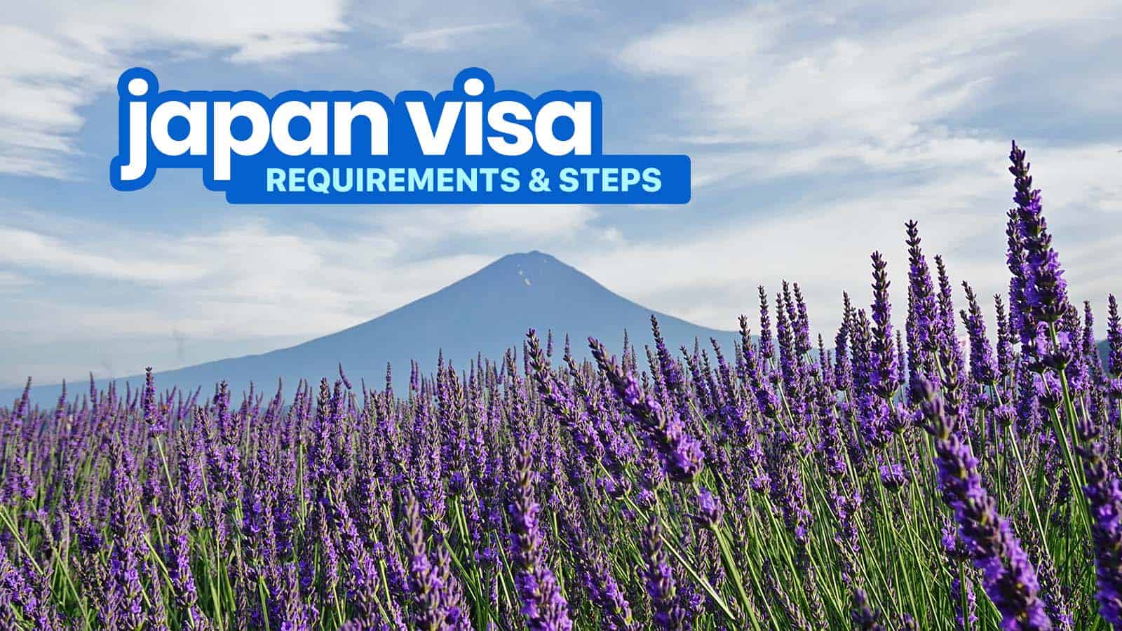JAPAN VISA旅游者请求程序