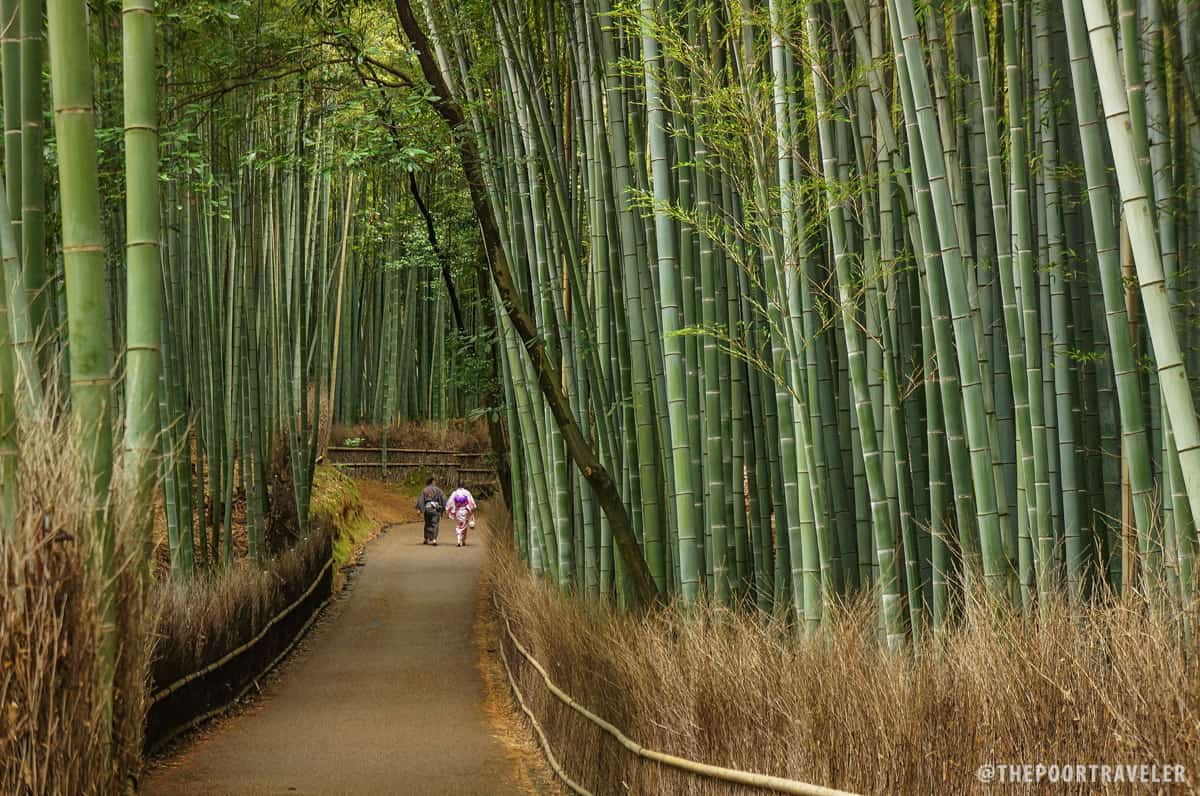 Arashiyama竹林