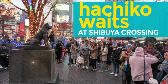 Hachiko等待：涩谷横渡的“忠实狗” - 日本东京