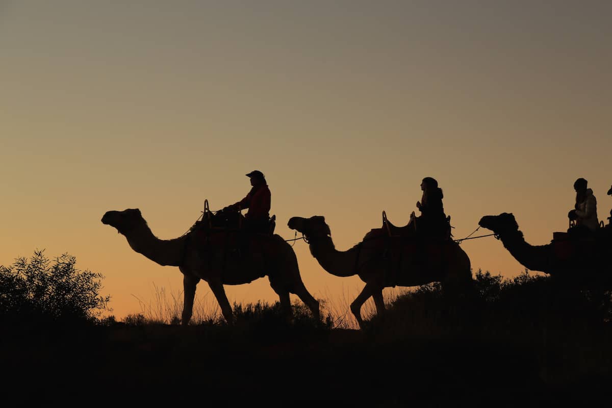 在日出时骑着骆驼在沙丘上上上下下。