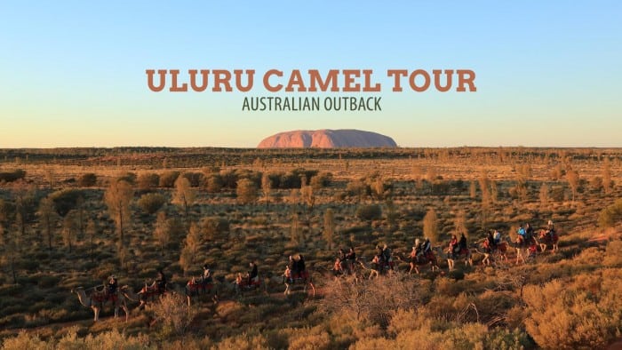 澳大利亚内陆：乌鲁鲁骆驼之旅在日出