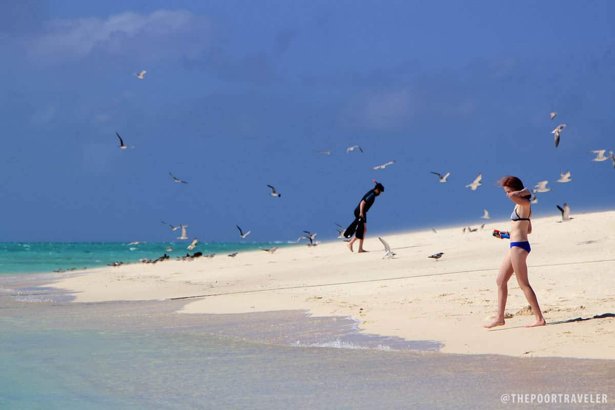 米迦勒斯岛是浮潜者和海滩游民的天堂。