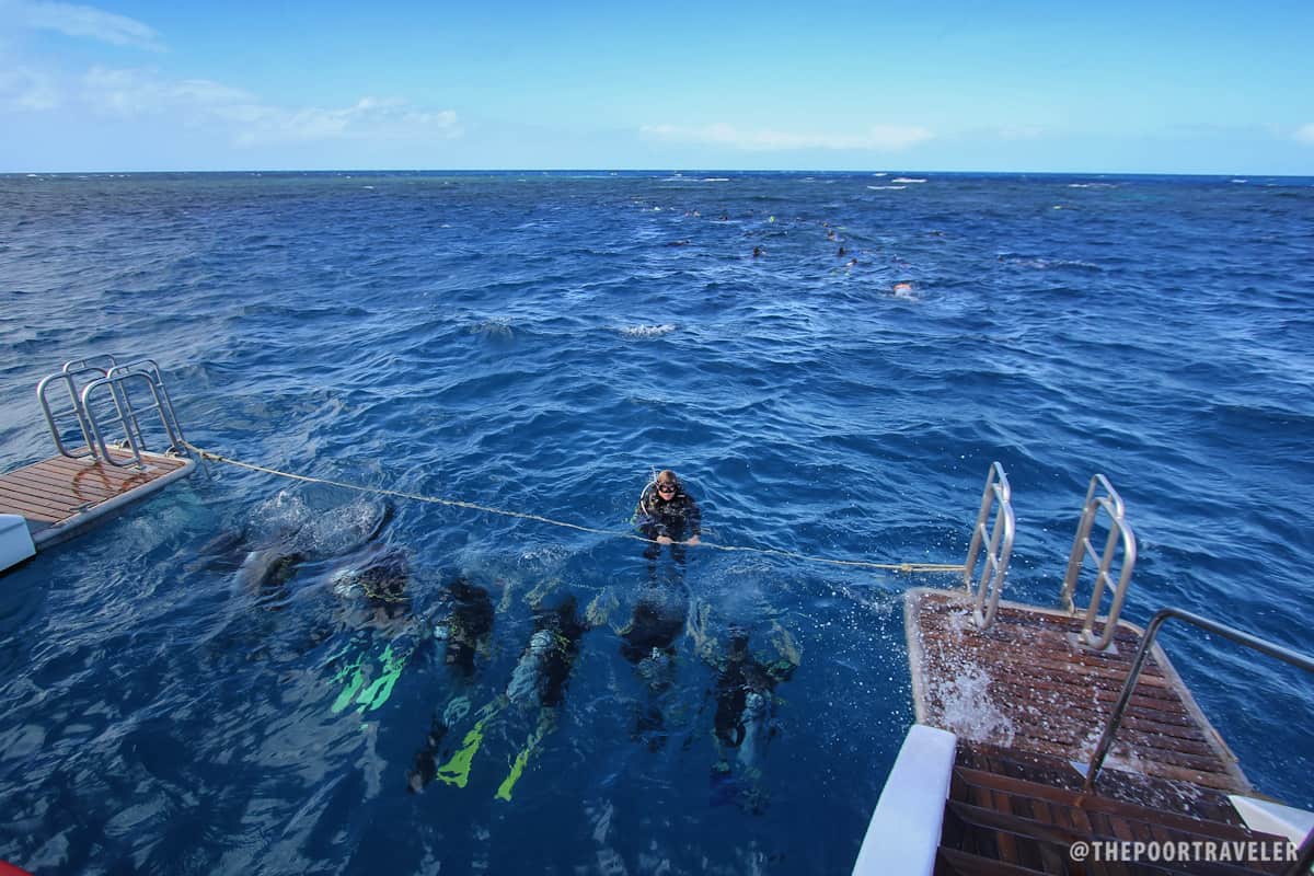 戴水肺潜水的初学者第一次在大堡礁的外部屏障处潜水。