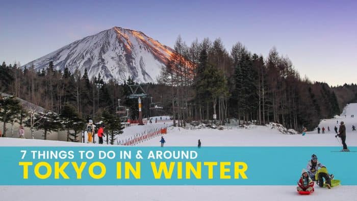 冬天的东京:7件值得做的事和旅游胜地