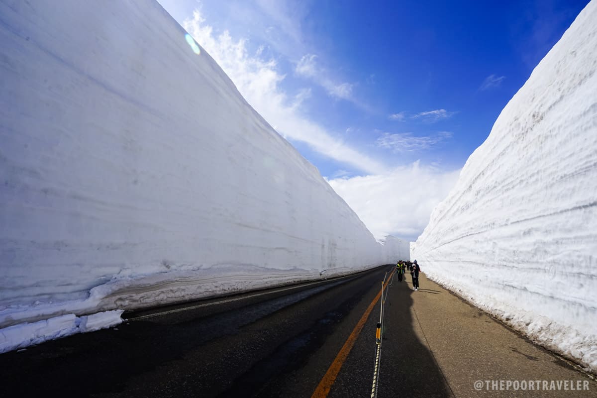 高山路线-由野大谷“雪墙”