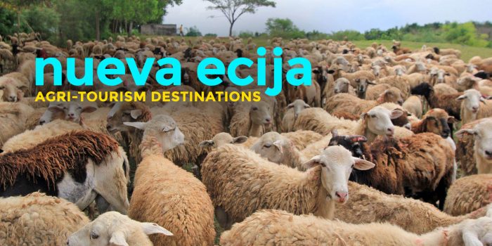 Nueva Ecija中的8个伟德国际app安卓版下载农业旅游目的地