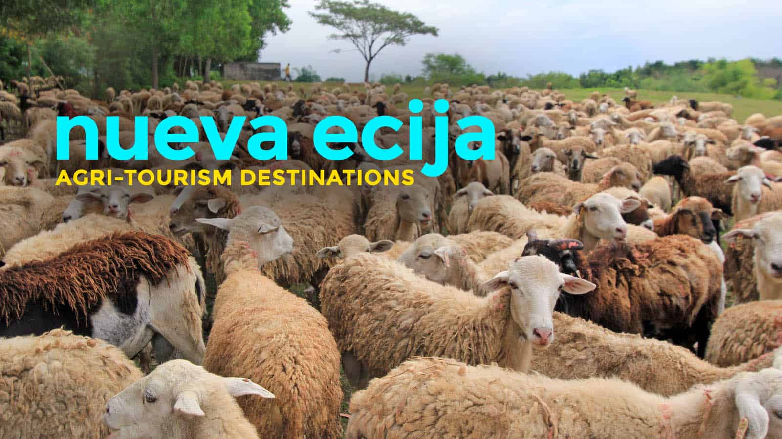 新埃西加8个农业旅游目的地伟德国际app安卓版下载