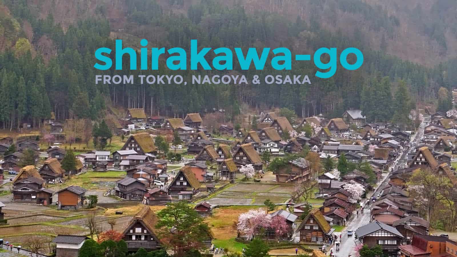 如何从东京、大阪、京都和名古屋到达白川- go