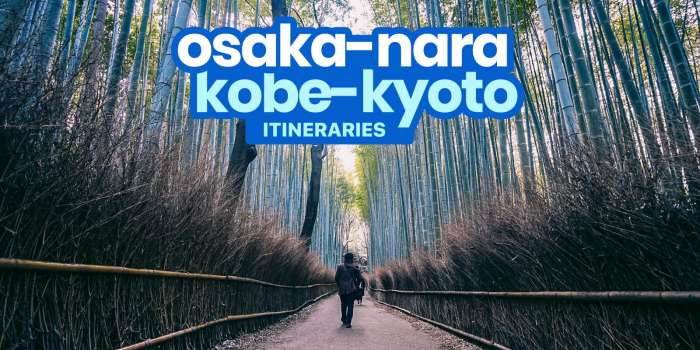 大阪-京都-奈良-神户DIY旅程:4、5、6天