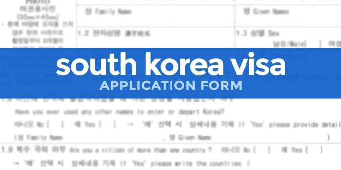 韩国签证申请表