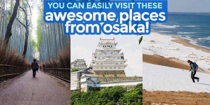 从大伟德国际app安卓版下载阪可以轻松游览的7个目的地