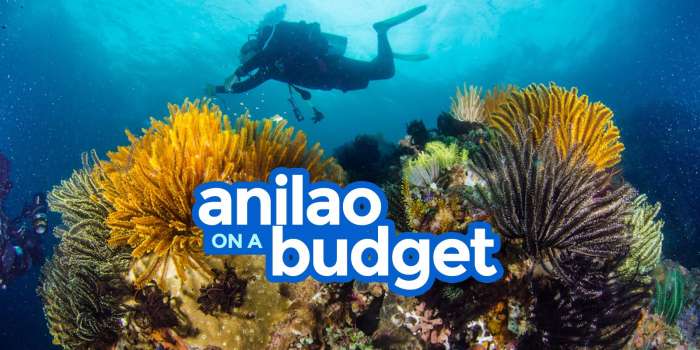 ANILAO BATANGAS:旅行指南和预算行程