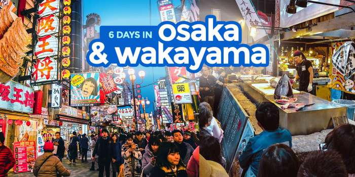 大阪和歌山:6天行程