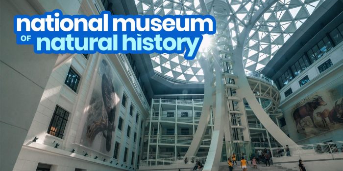 马尼拉国家自然历史博物馆:新手指南