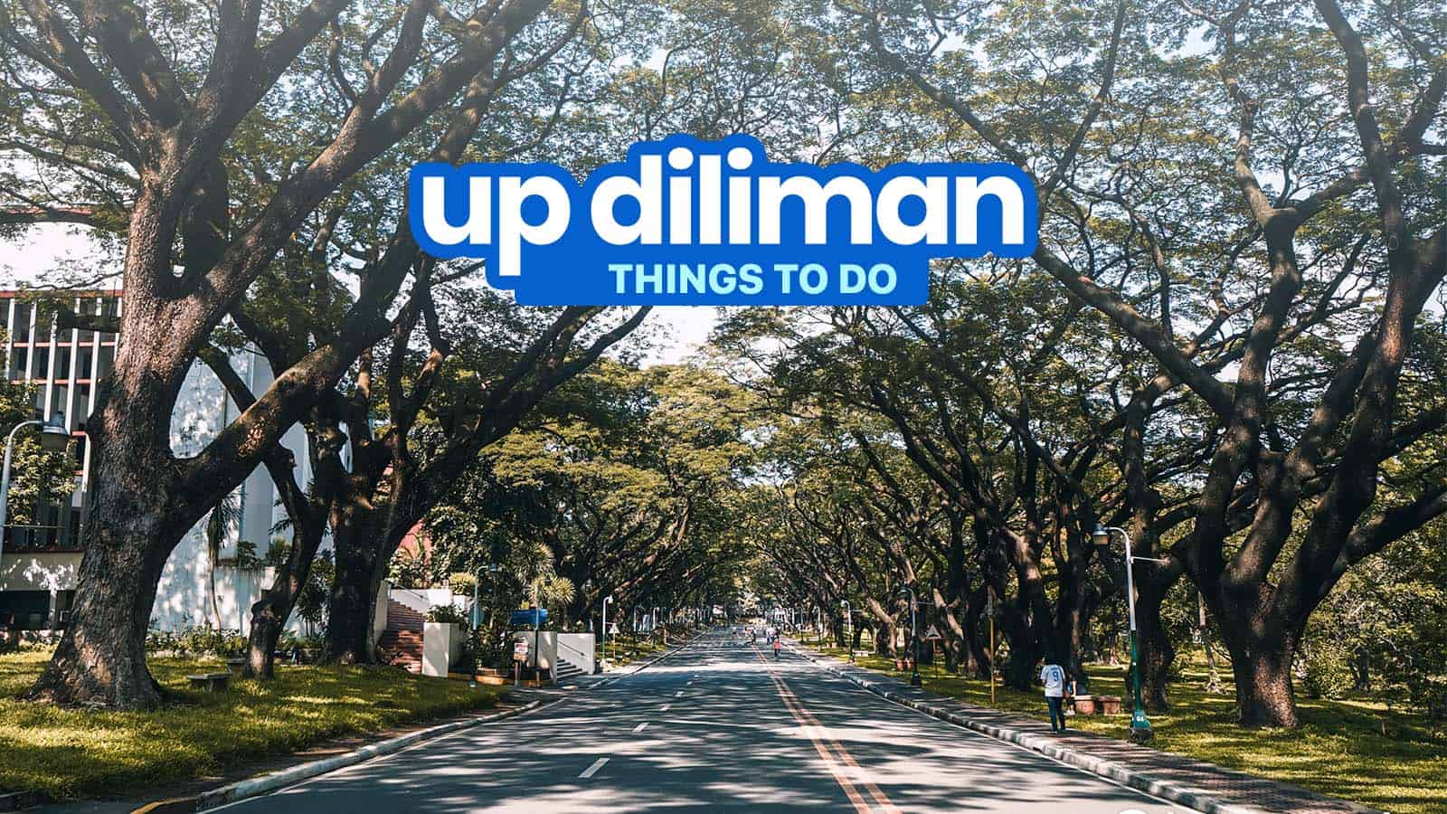 迪尔曼（Diliman）的7件事