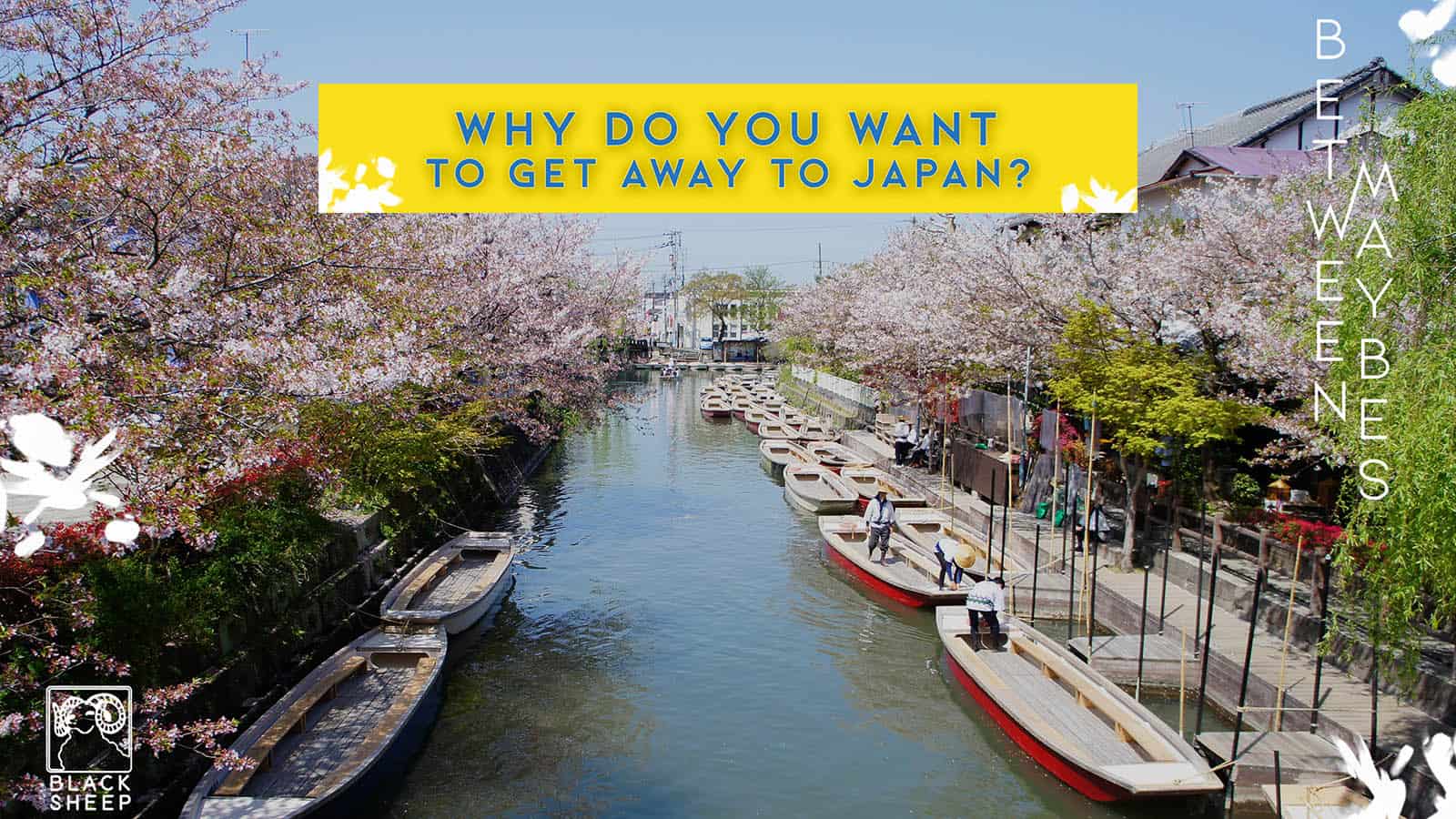 谁想要给日本福冈的免费门票？