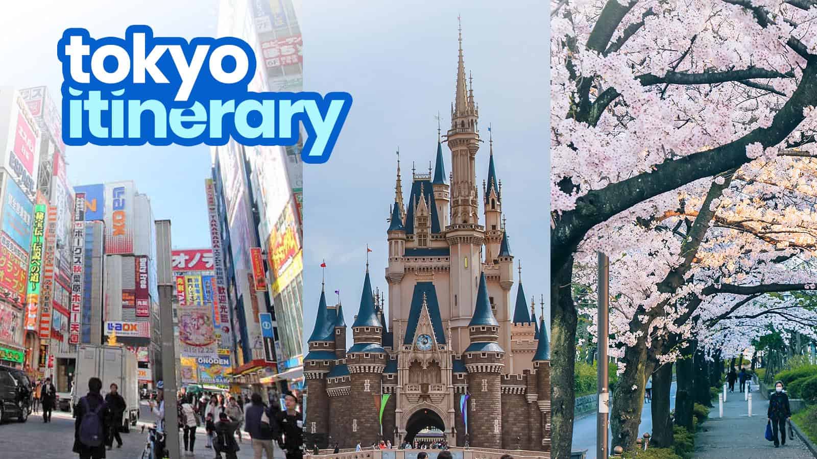 5天游览东京最佳之旅:第一次来东京的游客行程样例