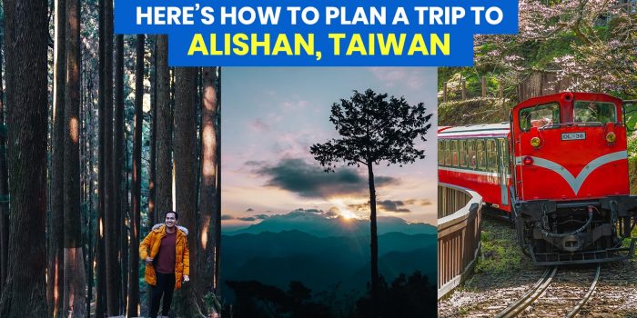 台湾阿里山:旅游指南附行程及预算样本
