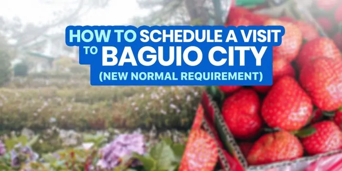 如何通过BAGUIO VISITA 2022 +循序渐进的在线注册指南安排访问