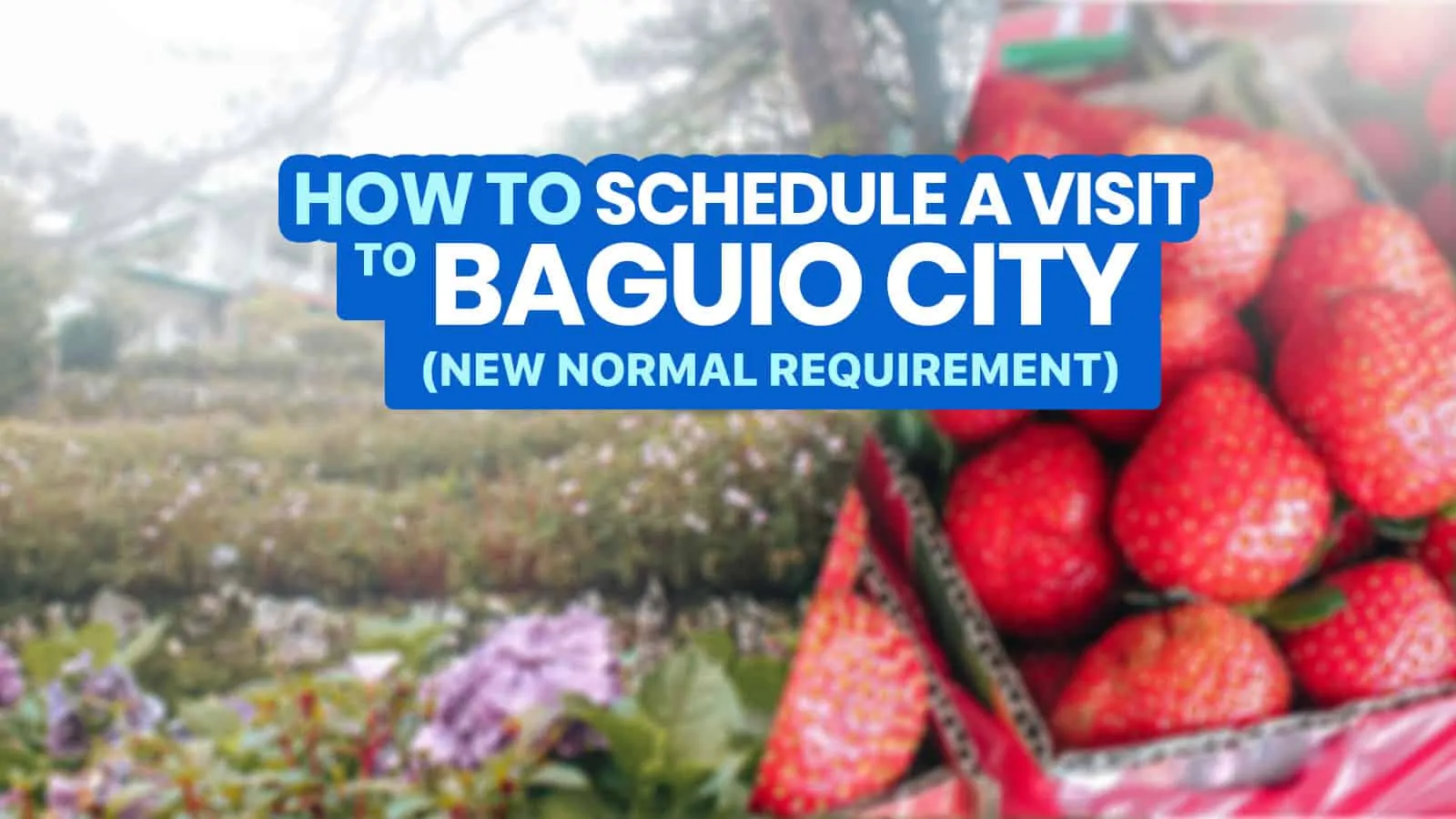 如何安排通过Baguio Visita 2022 +分步在线注册指南的访问