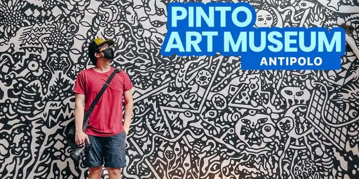 Pinto美术馆旅行指南和新的普通指南