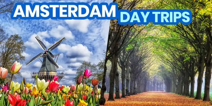 来自阿姆斯特丹的20个最佳一日游目伟德国际app安卓版下载的地