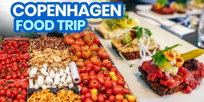 哥本哈根美食之旅:12种美食、饮料和餐厅