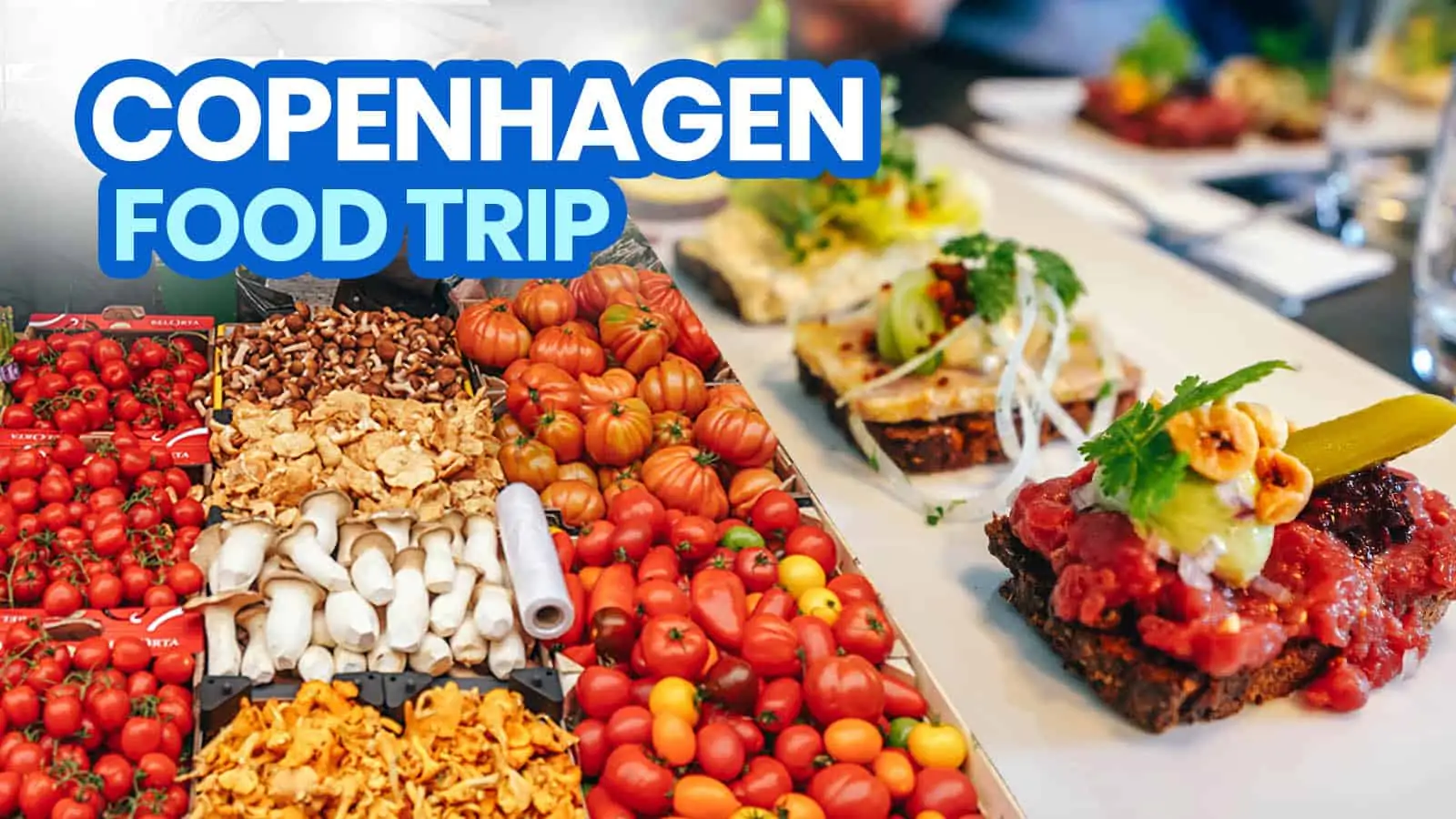 哥本哈根美食之旅:12种美食，饮料和餐厅，在这个城市尝试