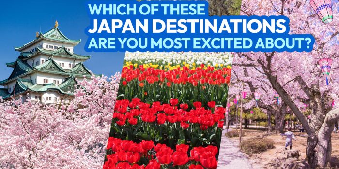 春季日本中部的13个参观场所（包括樱花斑）