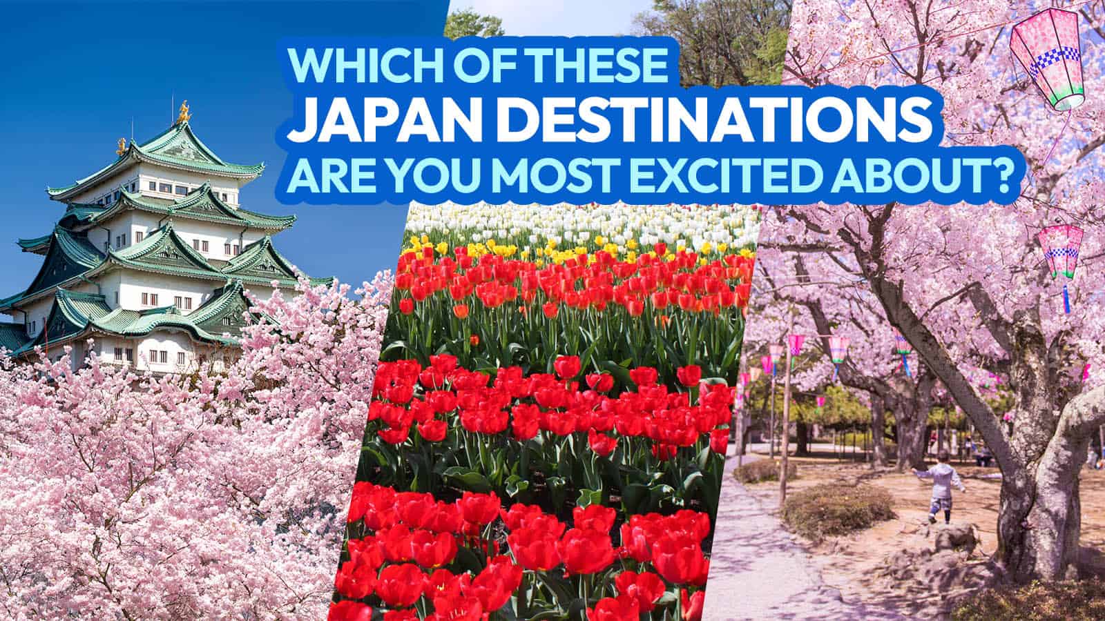 日本中部春天必去的13个地方(包括樱花景点)